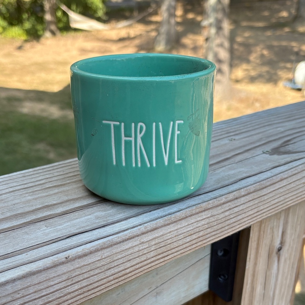 Rae Dunn Thrive Aqua Mug